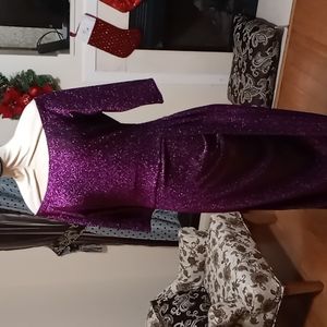CBR Purple Metallic Dress